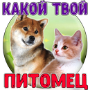 APK Тест: Твой домашний Питомец