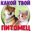 Тест: Твой домашний Питомец