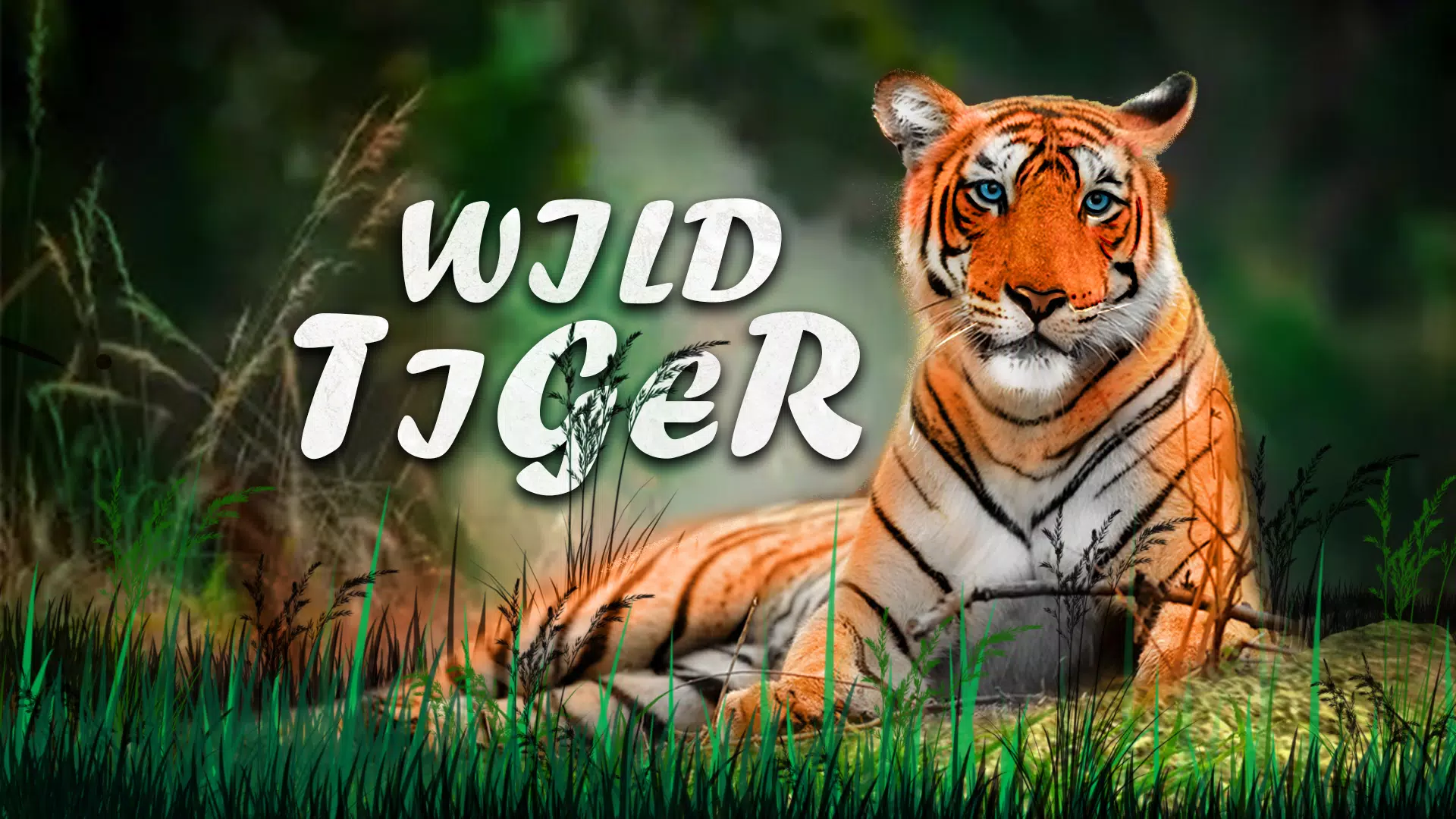 Jogo de Tigre Para Celular Tiger Simulator 3D Android ios Gameplay