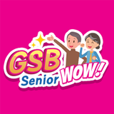GSB Senior Wow icône