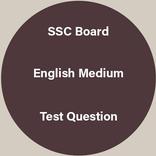 GSEB Board SSC 10th Test Questions