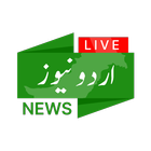 Live Urdu News icône
