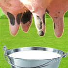 Farm Milk The Cow آئیکن