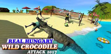 Real Hungary Wild Crocodile At
