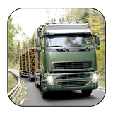 Wood ciężarowy Transporter