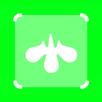 Avee Player Templates - Green Screen Templates APK