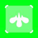 APK Avee Player Templates - Green Screen Templates