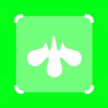 Avee Player Templates - Green Screen Templates