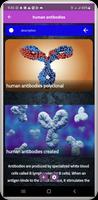 human antibodies Affiche