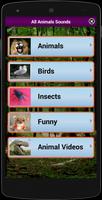 All Animal Sounds Ringtones poster