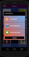 All Animal Sounds Ringtones screenshot 2