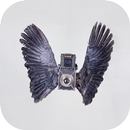 Birds Camera Frames APK