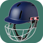 Treinamento de cricket ícone