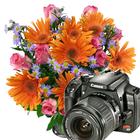 Flowers Frames Camera ícone