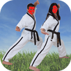 Karate Training APK