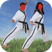 آیکون‌ Karate Training