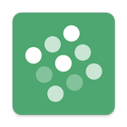 HTC Dot View icon