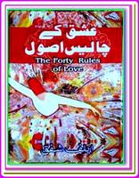 Forty Rules Of Love By Elif Shafak In Hindi/Urdu 포스터