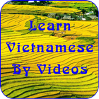 Learn Vietnamese By Videos icône