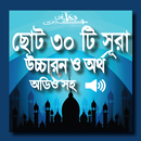 ছোট ৩০টি সূরার বাংলা উচ্চারণ ও অর্থ (অডিও সহ) APK