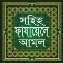 সহিহ ফাযায়েলে আমল - Sohe Fajayele Amol APK