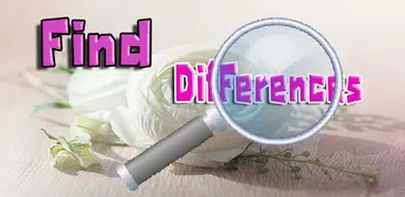 Find Differences Level 15