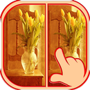 Farklılıklar 51 Seviye bul APK