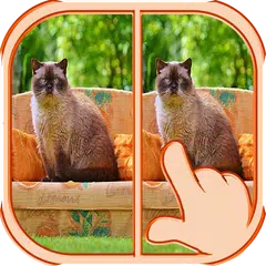 大家來找茬5級 APK 下載