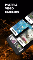Video Hub APK download