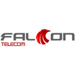 ”Falcon Internet