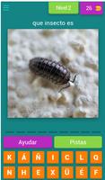 identificar insectos por fotos screenshot 3