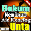 Hukum Meminum Air Kencing Unta Menurut Islam