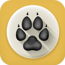 Don't Download APK