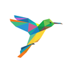 Hummingbird Field Notes