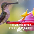 hummingbird food recipe