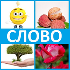 4 фото 1 слово 2019 icono