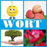 4 Bilder 1 Wort 2019 icon