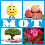 4 Photos 1 Mot 2019 आइकन