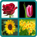 Flower Quiz
