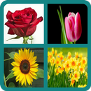 Flower Quiz APK