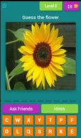 Flower Quiz скриншот 3