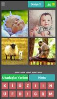 برنامه‌نما 4 Resim 1 Kelime عکس از صفحه