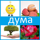 4 снимки 1 дума أيقونة