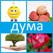 4 снимки 1 дума