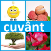 4 Poze 1 Cuvânt