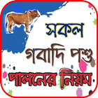 গবাদি পশুপালনের নিয়ম biểu tượng