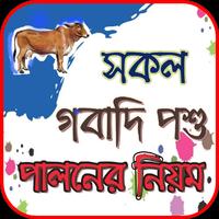 গবাদি পশুপালনের নিয়ম bài đăng