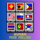 Human Mod Melon Playground APK