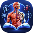 Human Anatomy & Body Systems APK