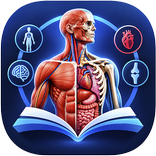 Human Anatomy & Body Systems